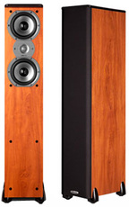 Produktfoto Polk Audio TSI300