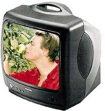 Produktfoto Philips 14 PT 1352